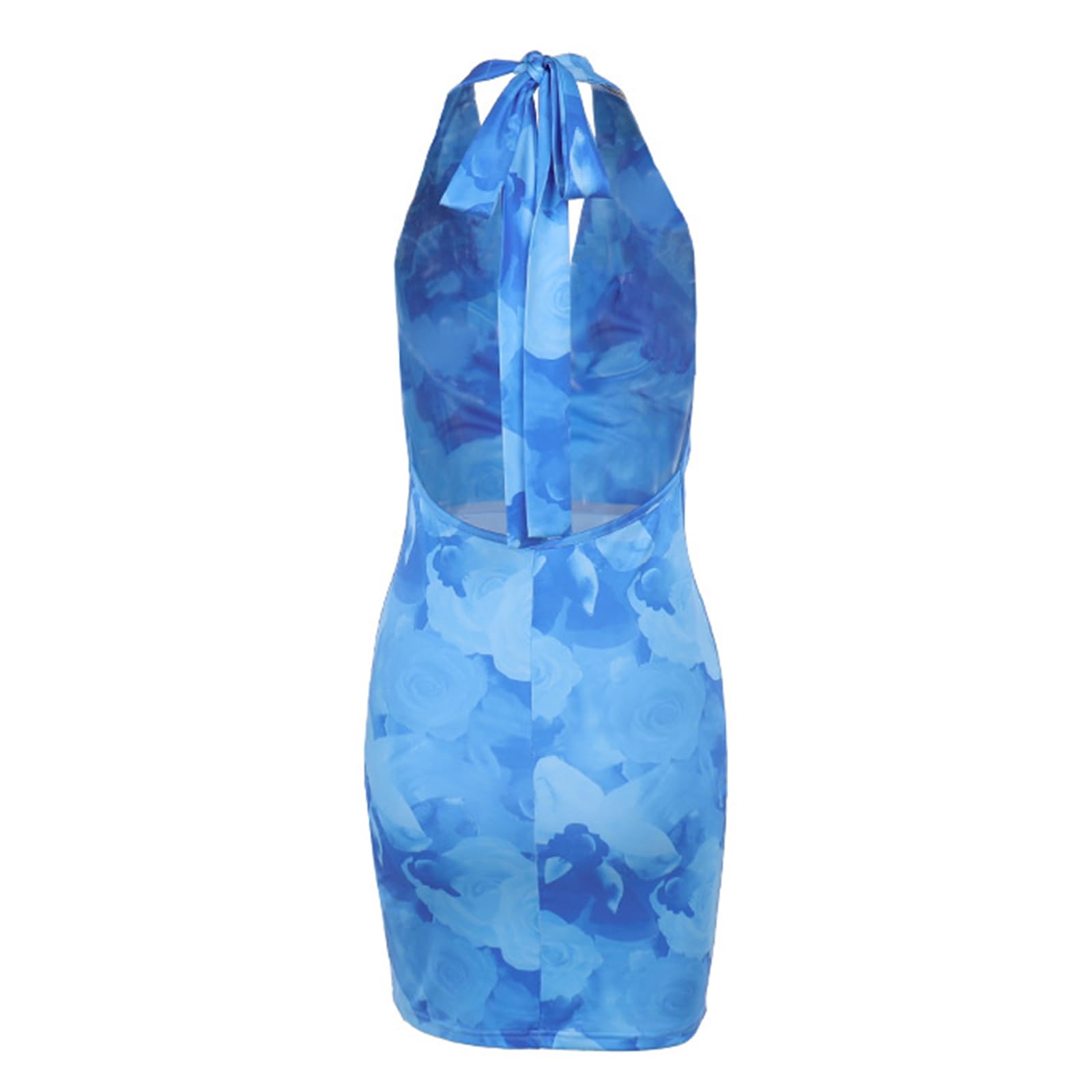 Knemksplanet Women Halterneck Mesh Mini Dress Floral Print Blue Size L Deal US