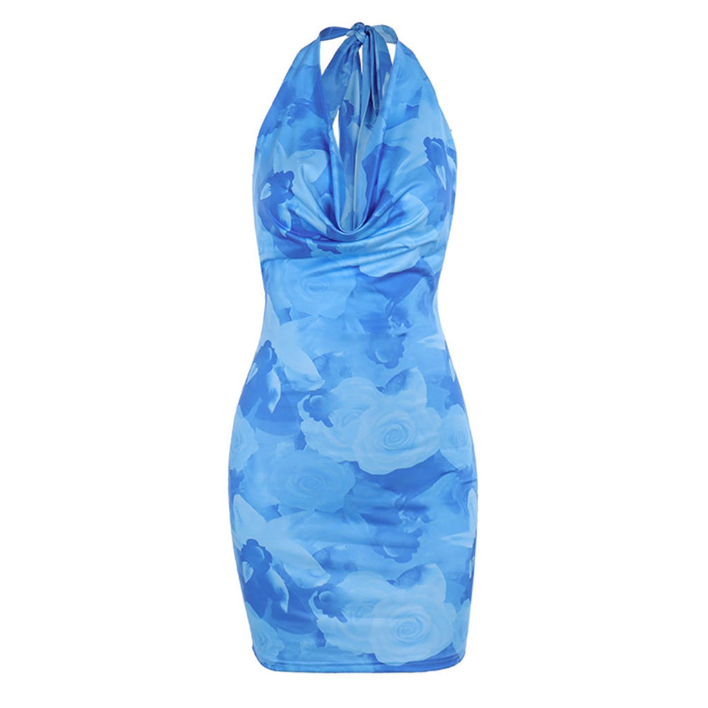 Knemksplanet Women Halterneck Mesh Mini Dress Floral Print Blue Size L Deal US