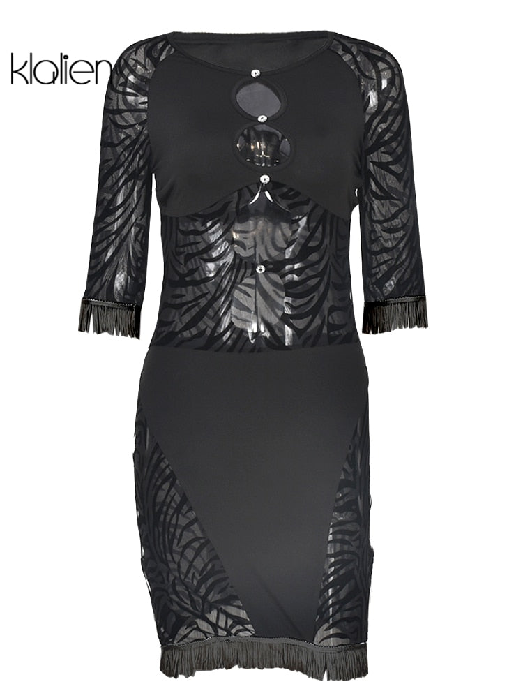 Cut Out Sexy Zebra Mesh Transparent Women's Pencil Short Dresses Mini Dress for Beach Bodycon nowadaysfashion
