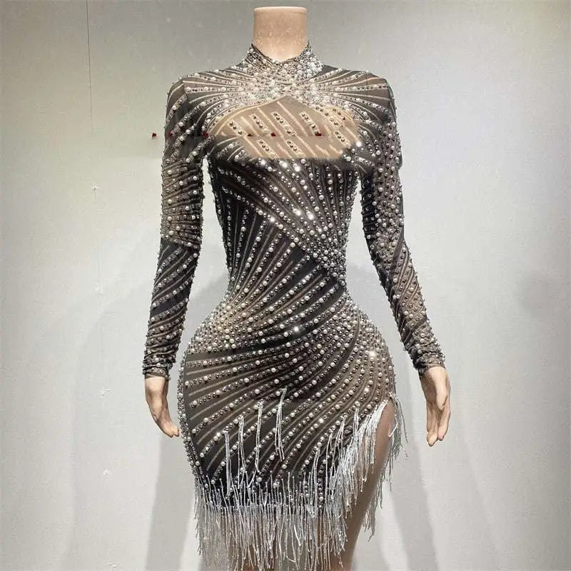 Sheer Beaded Tassel Dress Birthday Party Long Sleeve Royalessencelux
