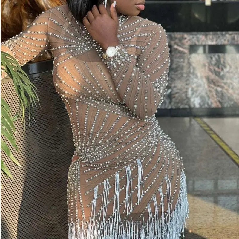 Sheer Beaded Tassel Dress Birthday Party Long Sleeve Royalessencelux