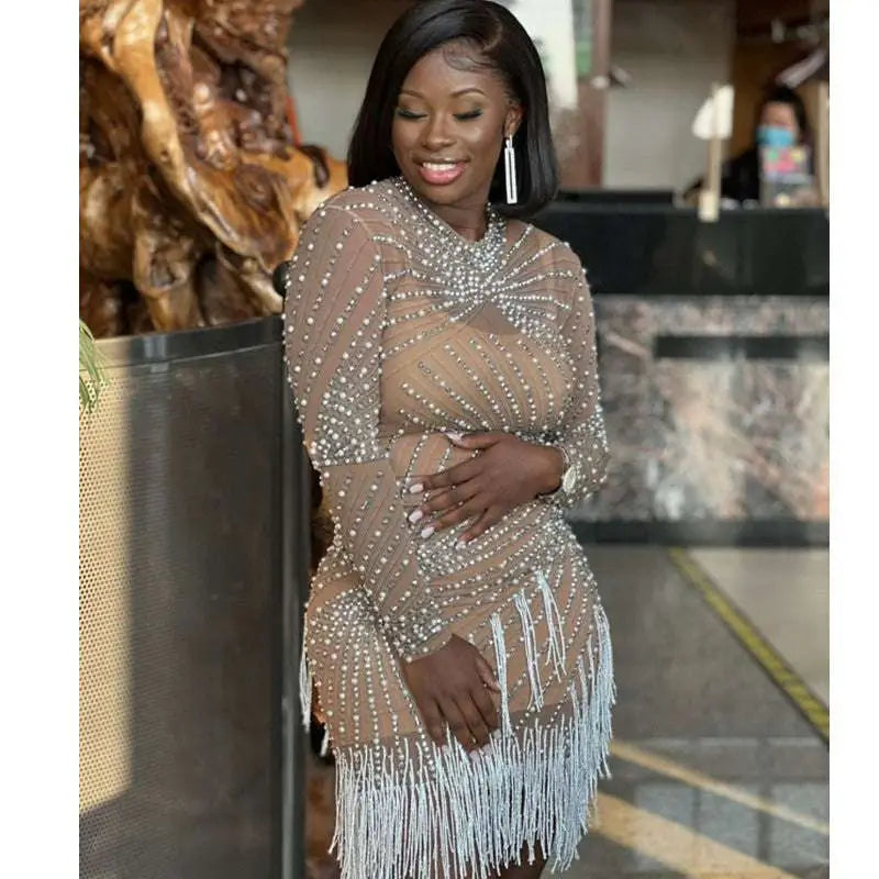 Sheer Beaded Tassel Dress Birthday Party Long Sleeve Royalessencelux