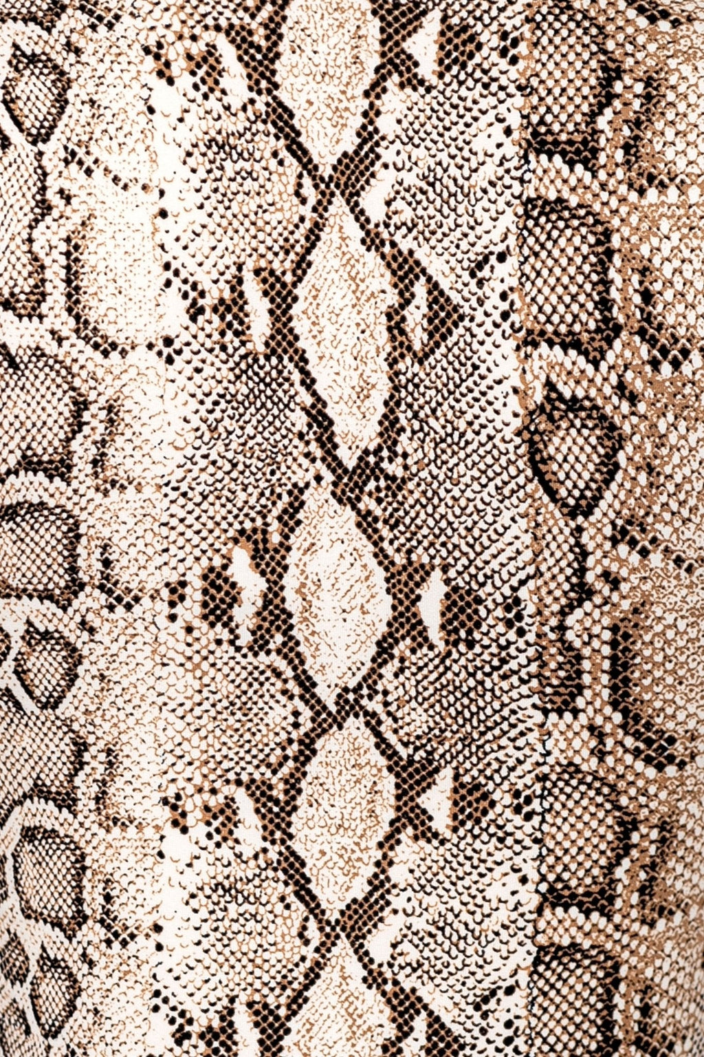 Snake Print Matching Set – Crop Top & Low Rise Mini Skirt for Women Blaire Shops