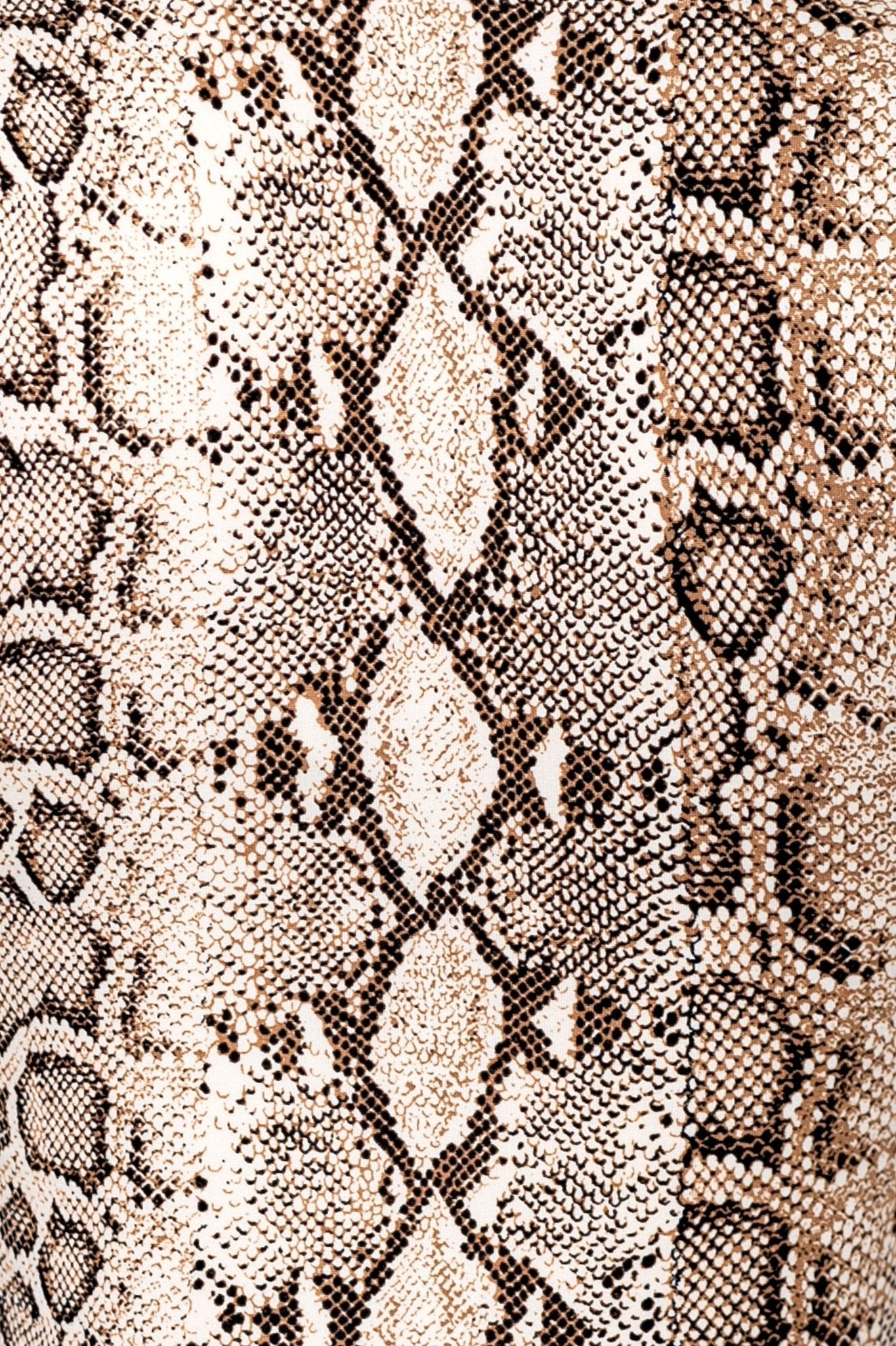 Snake Print Matching Set – Crop Top & Low Rise Mini Skirt for Women Blaire Shops
