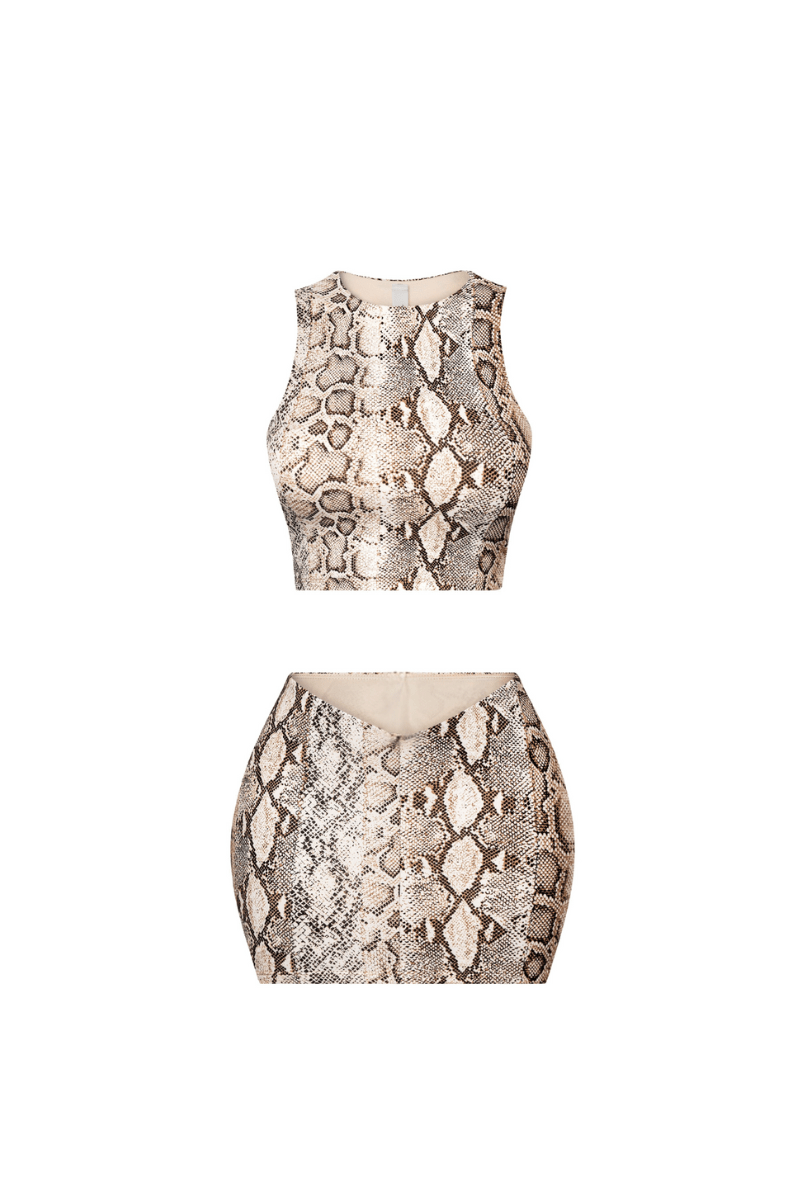 Snake Print Matching Set – Crop Top & Low Rise Mini Skirt for Women Blaire Shops